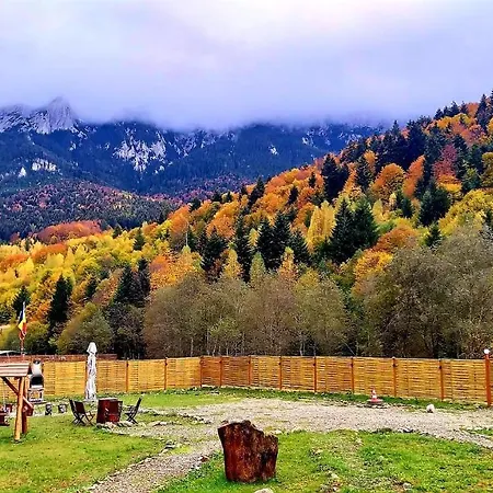 Aroa Mountain 4 Holiday home *